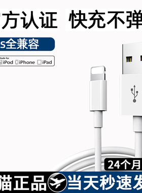 适用苹果数据线iphone手机8splus快充6/11/12/13充电器7pmaxs单头加长14/xr苹果iPad平板快充pro闪充充电线