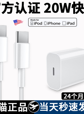 适用iPadPro12.9双type-c接口充电器苹果平板电脑充电线20WPD快充头数据线min6闪充