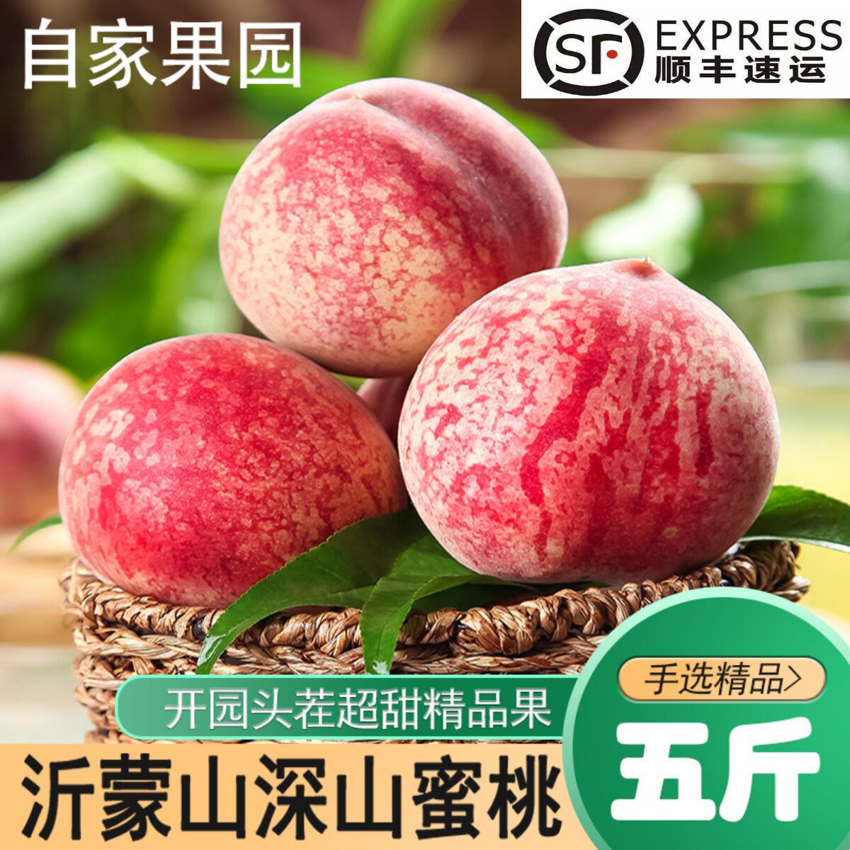 应季水果水蜜桃脆甜红桃子手撕扒皮软毛桃蒙阴精品大果同城早桃