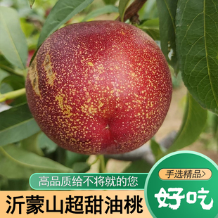 油桃沂蒙深山2026年应季水果脆甜爆汁软桃孕妇时令当季桃子麻点桃
