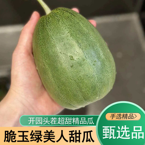 绿美人甜瓜新鲜采摘山东香瓜薄皮脆甜多汁当季时令水果头茬打嘴瓜