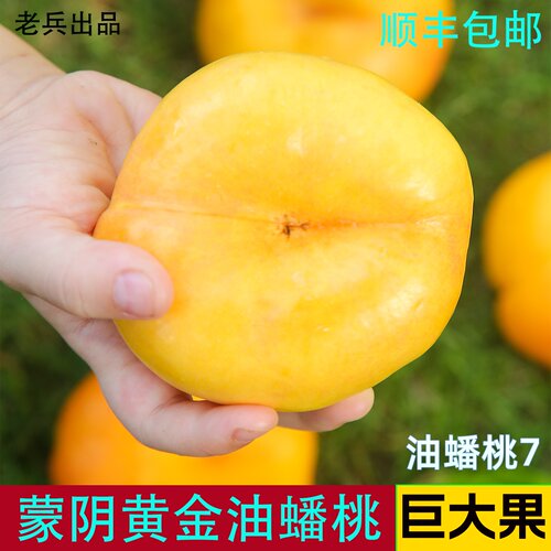 黄油蟠桃蒙阴自家果园特级大果