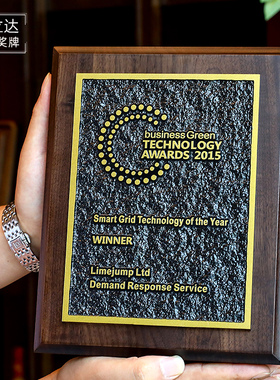 奖牌授权牌定制定做实木荣誉牌匾制作比赛颁奖纪念胡桃木奖牌