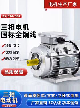YS三相铝壳电机国标纯铜马达0.37/0.55/0.75KW-6卧式B14立式900转