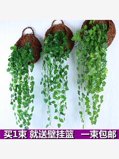 饰垂吊假花藤条室内藤蔓吊兰吊篮 仿真绿萝客厅挂墙绿植壁挂植物装