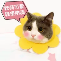 Mèo Elizabeth nhẫn mèo con mèo không thấm nước mềm siêu mềm vải xấu hổ vòng tròn chống cắn mũ chống trầy - Cat / Dog hàng ngày Neccessities 	bát ăn đôi cho chó	