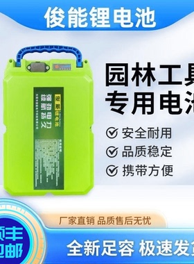 24v割草机锂电池48V60V绿篱机叉车采茶机草坪机抽水泵足量电瓶36V