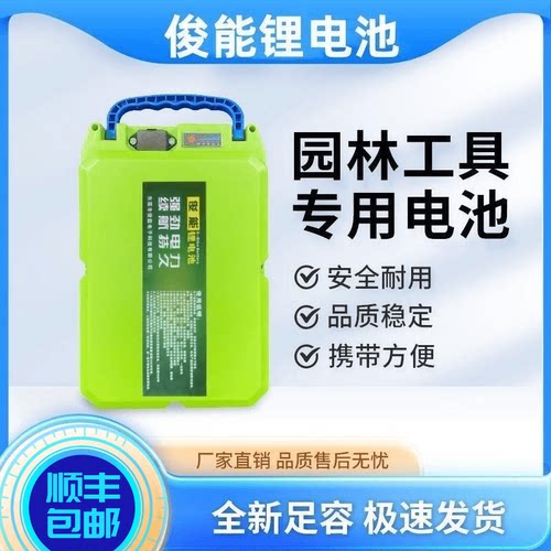 割草机绿篱叉车24v48v60电瓶天能