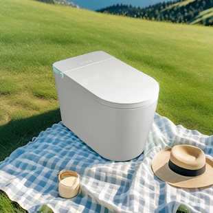 OTTO欧特特欧全自动感应起盖增压冲水妇洗抗菌烘干即热小户型家用