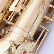 Suzuki Alto Saxophone gió e-salm saxophone cho người mới bắt đầu tenor treble - Nhạc cụ phương Tây