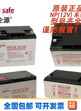 美国DATASAFE蓄电池NP(12V)系列NP24/33/35/38/55-12全型号仓
