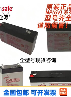 美国DATASAFE蓄电池NP(6V)系列NP1/2.8/3.2/3.8/3-6全型号仓