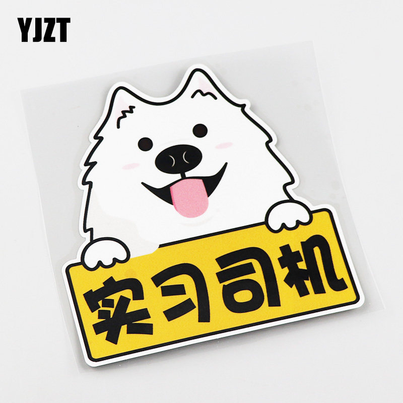 yjzt 动物卡通狗狗 警示实习司机汽车贴纸 cs0206