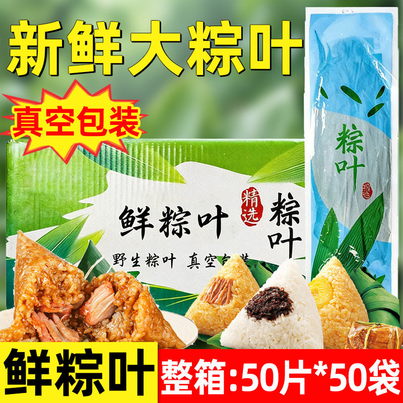 大号新鲜宽粽叶50片端午节包粽子材料农家箬竹叶芦苇叶