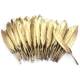 bag for Gold Feathers 50pcs 7inches Plated Christmas