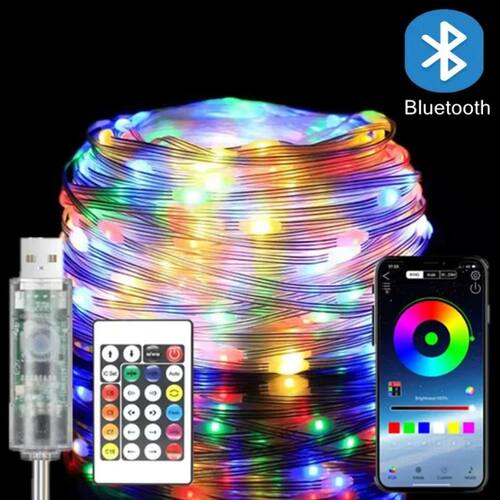 5/10/20M RGBIC USB LED Sting Light Bluetooth Music APP Progr