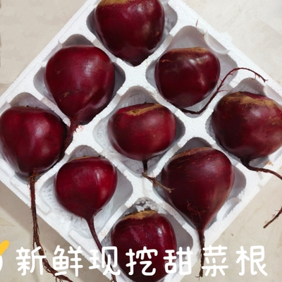 2026年新鲜现挖甜菜根高品质紫菜头红甜菜当季新鲜泡沫箱包装