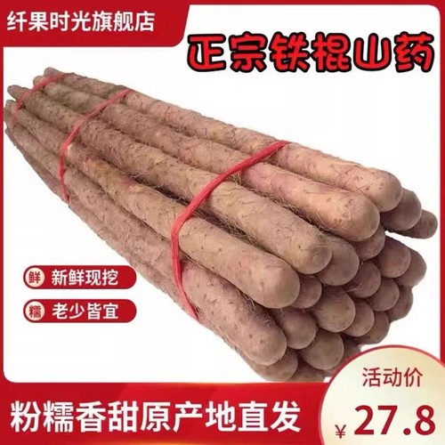 温县垆土铁棍山药焦作新鲜淮山药