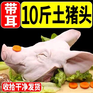 猪头整只新鲜带耳朵猪头5斤带骨劈开猪口条猪尾巴肘子生猪肉商用