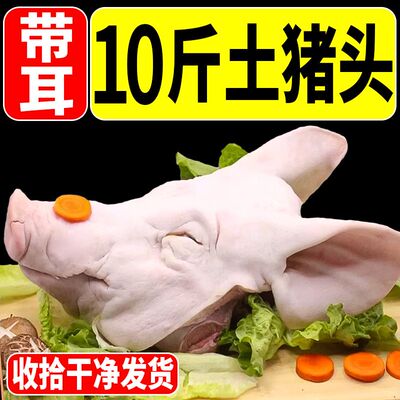 猪头整只新鲜带耳朵猪头5斤带骨劈开猪口条猪尾巴肘子生猪肉商用