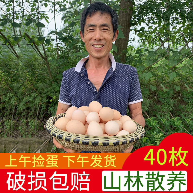 中蛋新鲜农家土鸡蛋农家散养40枚