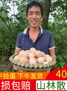 正宗新鲜农家土鸡蛋农家散养柴鸡蛋笨鸡蛋草鸡蛋新鲜鸡蛋10-40枚