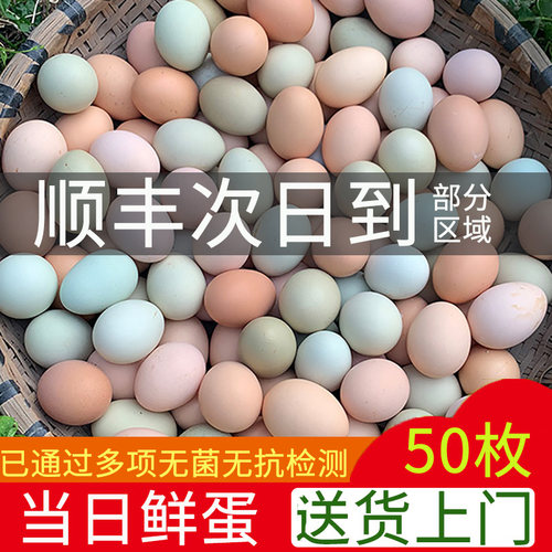 湖北新鲜散养农家土鸡蛋