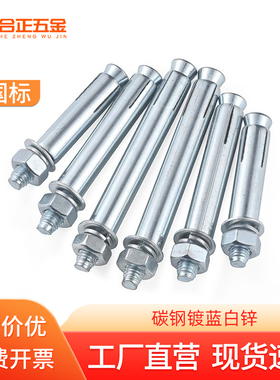 国标镀锌膨胀螺丝加长爆炸拉爆螺栓M6M8M10M12M14M16*70x80x100mm
