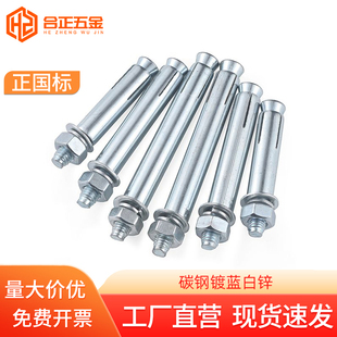 国标镀锌膨胀螺丝加长爆炸拉爆螺栓M6M8M10M12M14M16*70x80x100mm
