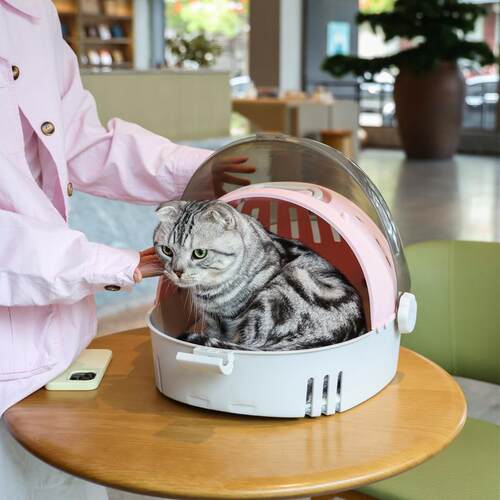 新款太空舱猫窝宠物外出舒适透气便携式猫包可手提可双肩款