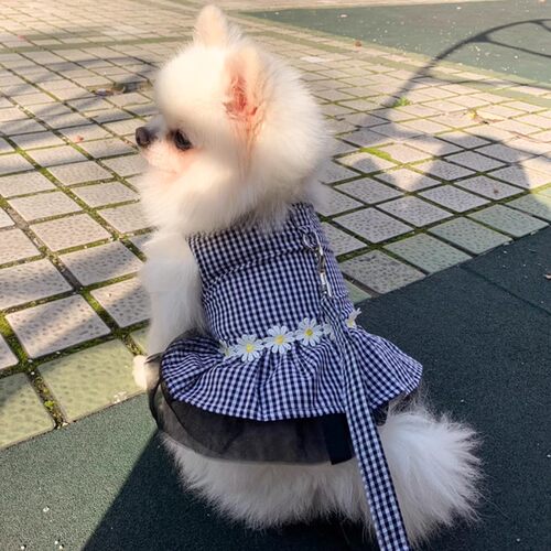 狗狗衣服博美小型犬夏夏公主裙子
