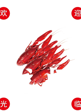 烧烤啤酒店铺装饰小龙虾烤鱼贴纸
