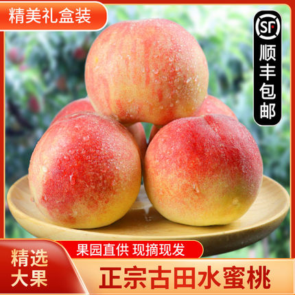 正宗古田白凤桃水蜜桃脆甜大桃子应季孕妇新鲜水果现摘礼盒装大果