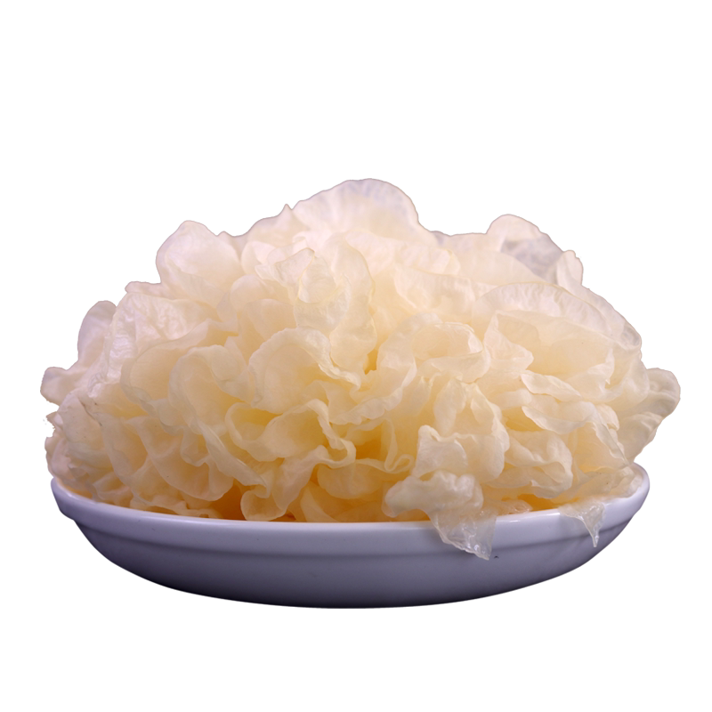 古田新鲜银耳鲜菌菇雪耳鲜活白木耳非干货丑耳软糯多胶6朵盒装
