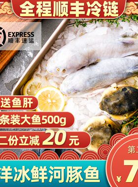 中洋河豚鱼两条装大鱼已宰杀处理