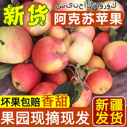 新疆阿克苏苹果产地直发脆甜顺丰