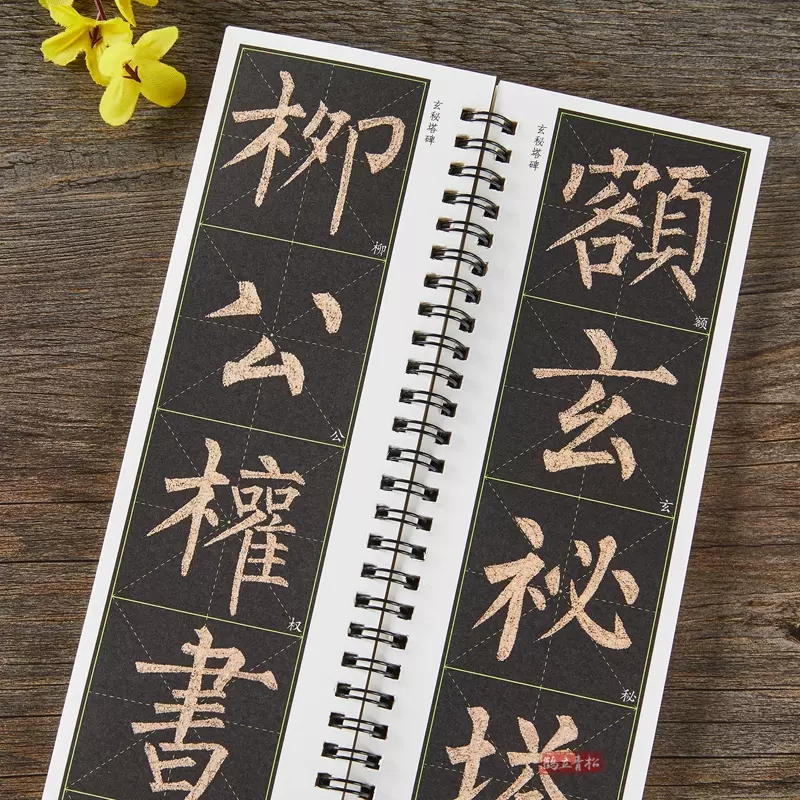 全文放大米字格近距离临摹字卡