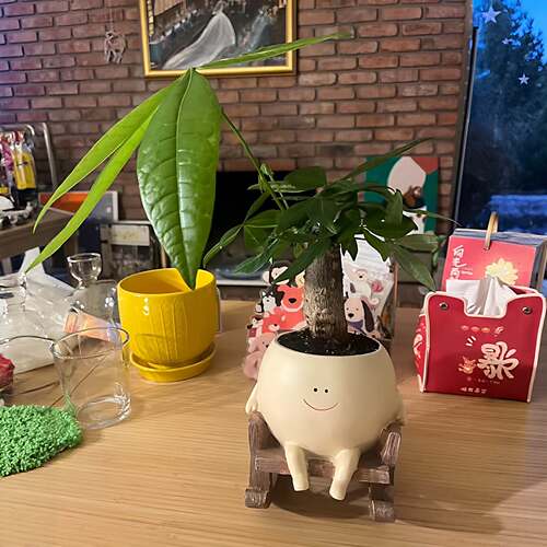 自愈系摇摇椅笑脸花盆发财树多肉办公室桌面养花绿植盆栽装饰摆件