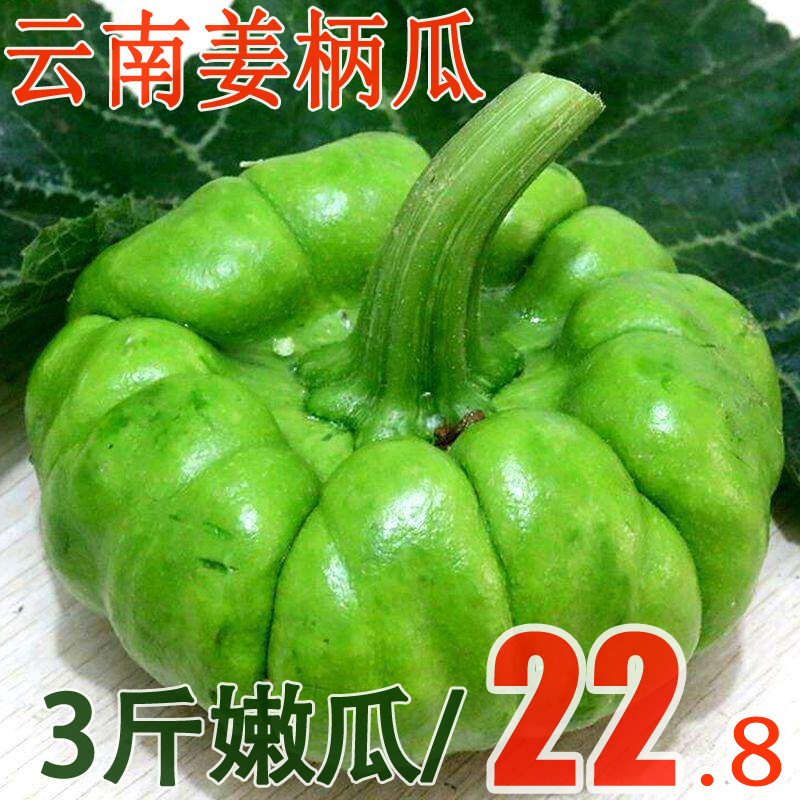 南瓜云南特产姜柄瓜农家自种嫩南瓜新鲜蔬菜现摘农场姜饼瓜小南瓜