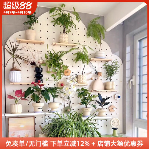 阳台洞洞板绿植墙花架