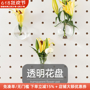 木工小舅 15mm洞洞板配件透明花盆架 免打孔透明养花瓶水培绿植X