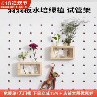 木工小舅 15mm圆孔洞洞板配件水培绿植试管 水养植物容器实木架