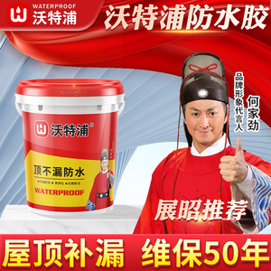沃特浦防水涂料屋顶外墙补漏材料房顶裂缝堵漏王楼顶漏水防漏胶水