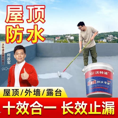 沃特浦防水涂料屋顶防水胶水楼顶外墙裂缝漏水渗水屋顶防漏水材料