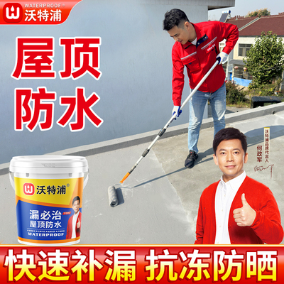 屋顶防水补漏胶防水涂料