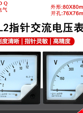6L2-V指针式交流电压表6L2-450V 250V 300V 500V 10kV/100V电压表
