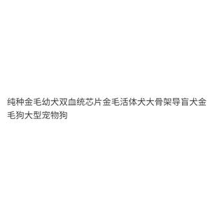 纯种金毛幼犬双血统芯片金毛活体犬大骨架导盲犬金毛狗大型宠物狗