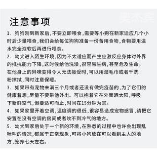 纯种泰迪幼犬贵宾犬长不大宠物狗狗活幼体茶杯犬小型犬飞耳灰泰迪