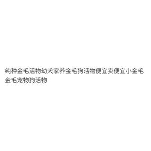 纯种金毛活物幼犬家养金毛狗活物便宜卖便宜小金毛金毛宠物狗活物