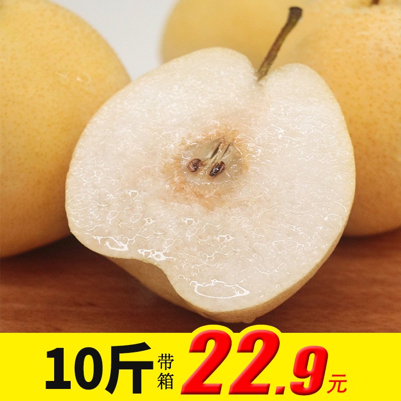 新鲜砀山酥梨10斤带箱梨子陕西酥梨皇冠梨当季水果大黄酥梨雪梨